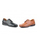 Derby Shoes Crispinos Man Black Leather Cognac CACTUS-60121XXL69,90 €